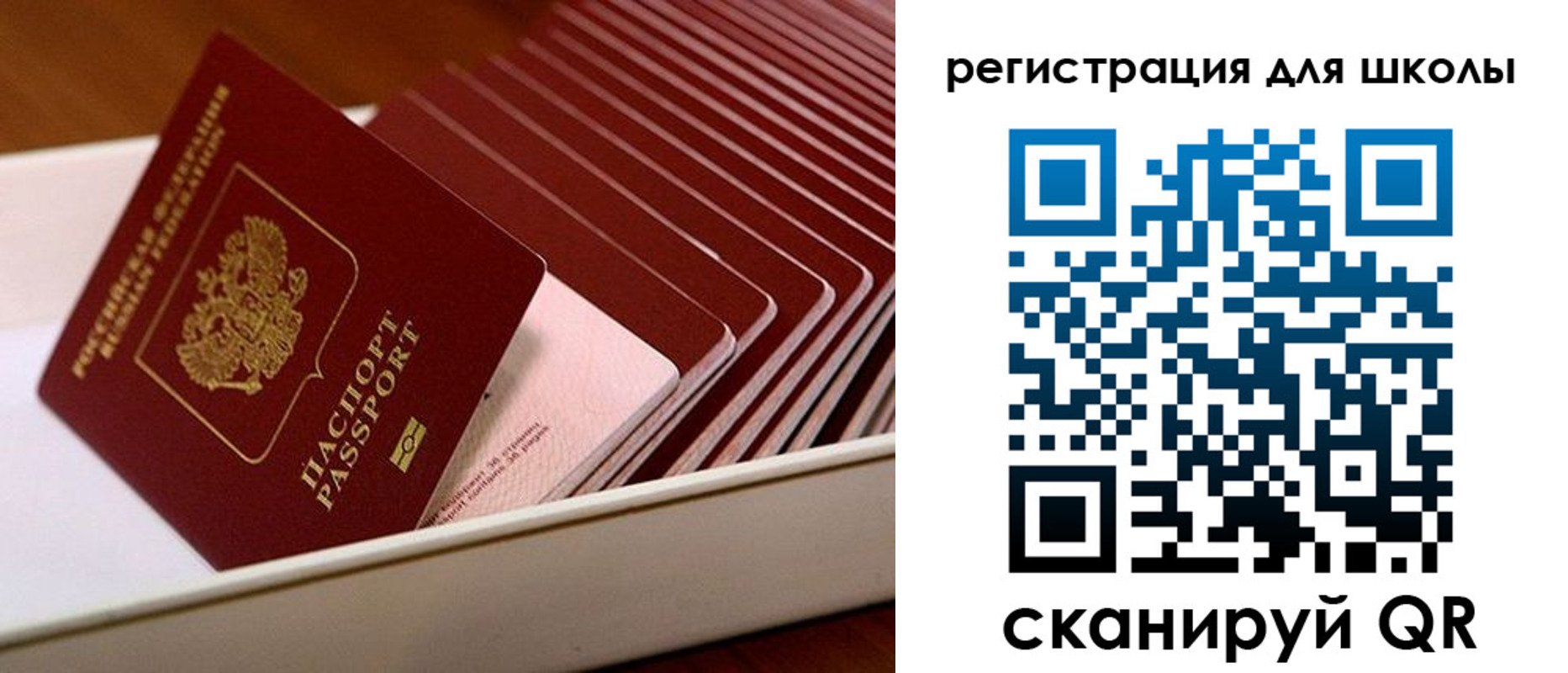 прописка гарантия в Кондрово